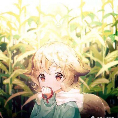绕月飞拍下罕见地落